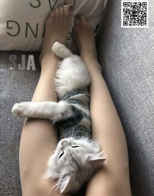 久久se这里只有精品_BD英语免费电视剧